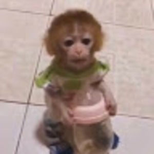 Meet your Posher, Aneel